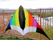 Delta Kite Enorme 108" x 55" +