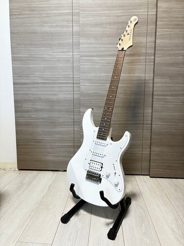Chitarra elettrica bianca