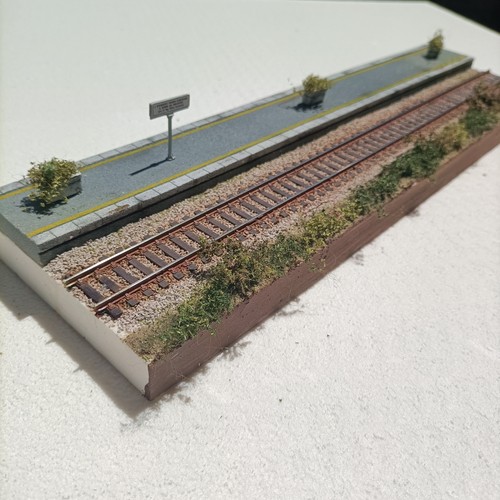Diorama plastico espositore
