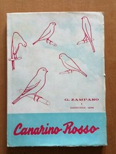 CANARINO ROSSO Zamparo Encia Stria Allevamento Ornitologia 1954