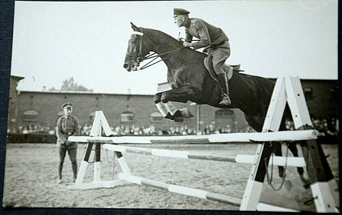 47390 cavallo salto su - 47390, ak