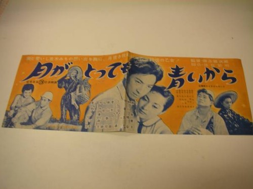40563 frankie sbkai sumiko - 40563,