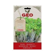 Semi bio germogli basilico - semi,
