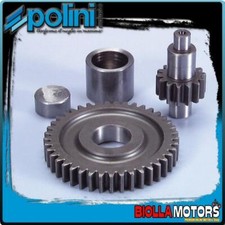 202.1321 INGRANAGGI RAPPORTI