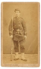 L93-CDV Albumin Carte de