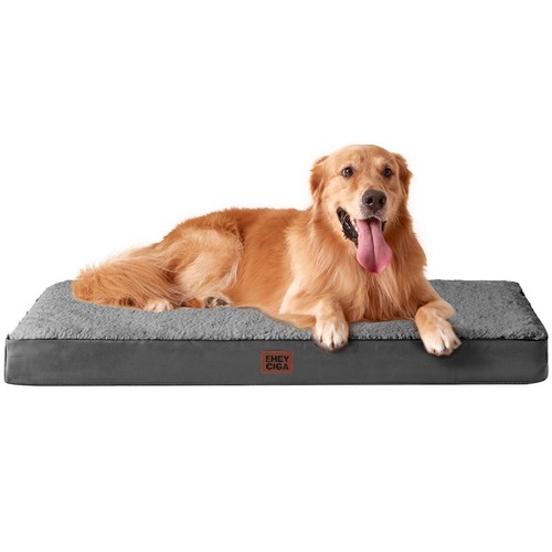 Cuccia cane interno taglia - cuccia,