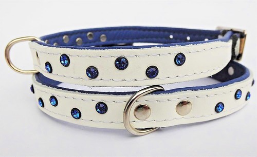 Collare per cani - pelle, +