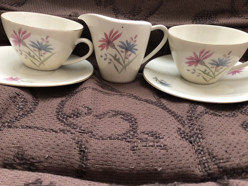 Set tazzine té bavaria - tazzine,