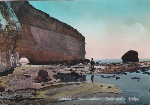Sciacca cammordino coda - #,