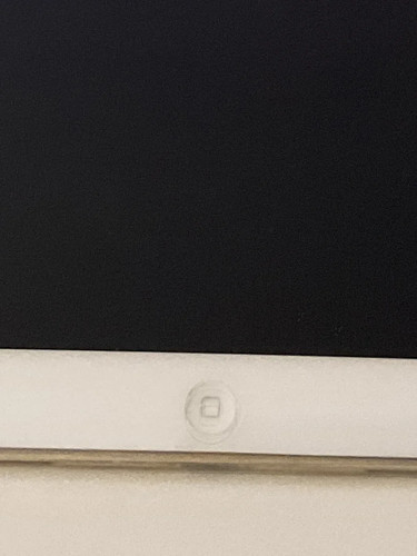 Apple ipad mini 16gb - apple,