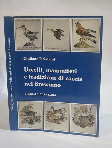 Uccelli mammiferi e - uccelli,,