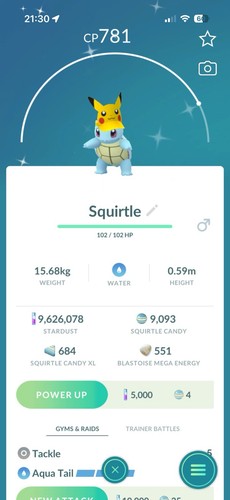 Costume squirtle lucido con - costume,