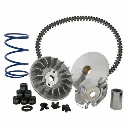 Variatore polini speed - variatore,