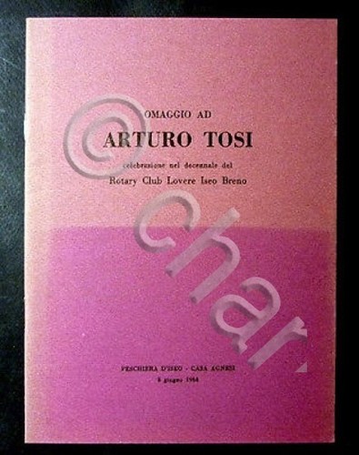 Arte omaggio arturo tosi - arturo,