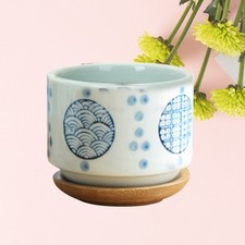  Vasetti Per Piante Grasse