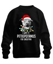 Cappello Babbo Natale I Want A