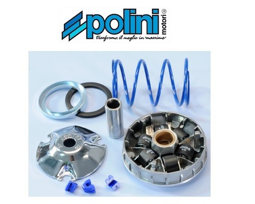 Polini 241 672 variatore - polini,