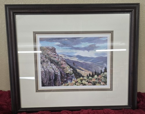 Quadro canyon litografia - , don