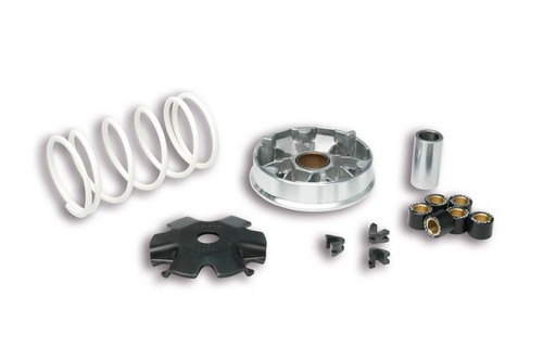 5113139 variatore malossi - variatore,