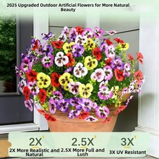 Bouquet di petunia di