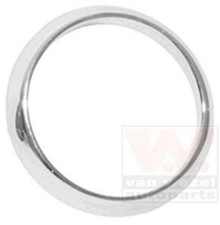 VAN WEZEL 1866595 Mostrina