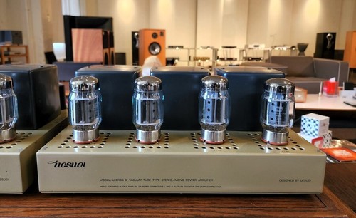 Uesugi bros amplificatore - uesugi, u-bros