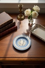 Wedgwood Diasproto Spilla