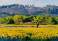 Walter Marchese cm 18x13 olio