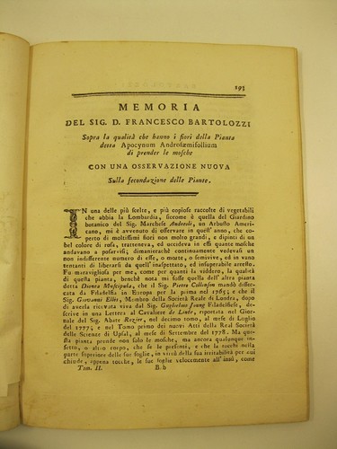 Bertolozzi francesco memoria - francesco,,