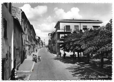 Canino (Viterbo). Corso