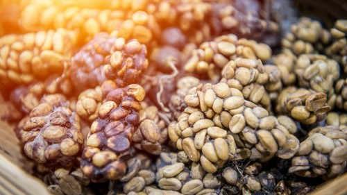 200 grammi autentici - , kopi