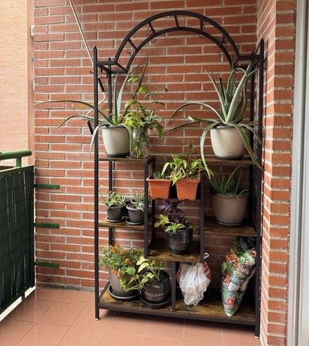 Scaffale per fiori - , da