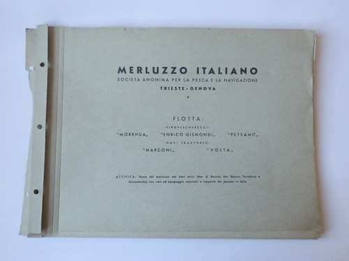 Merluzzo italiano pesca - merluzzo,