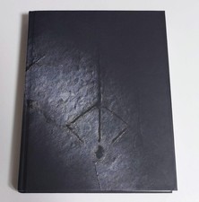 Guida bloodborne edizione - bloodborne, da