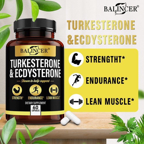Ecdysterone integratore - ecdysterone, 95%