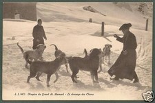 VALLE D'AOSTA GRAN SAN BERNARDO 03 CANE CANI - DOG