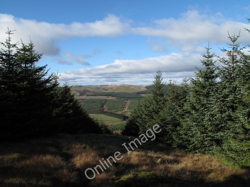 Photo 12x8 forest ride - 12x8,