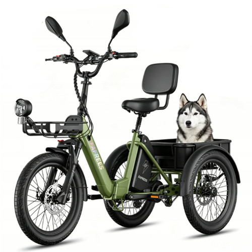 Triciclo elettrico pieghevole - elettrico,