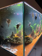 acquario 400 litri usato+ mobile 