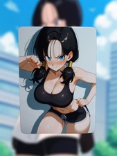 Videl Dragon Ball Z Anime