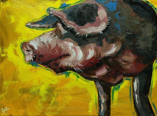 Pig 326 12x16 - -, 12x16"
