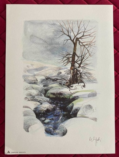 Inverno riproduzione - inverno,,