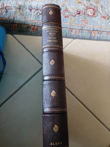 Quindici leggende ovidiane