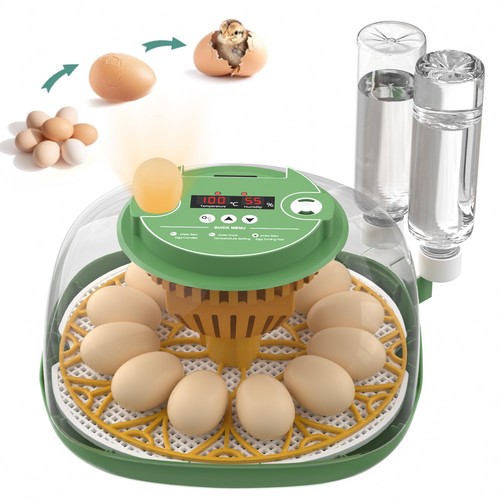 Incubatrice per uova - incubatrice,