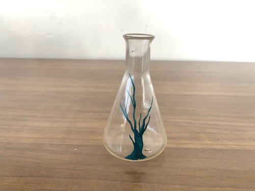 Glass bottle miva pyrex - miva, italy
