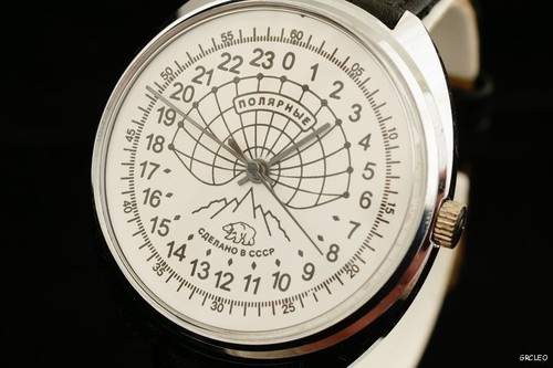 Rarissimo orso polare raketa - polare,