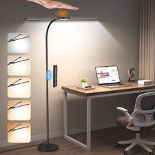LED Floor Lamp, Dual Head