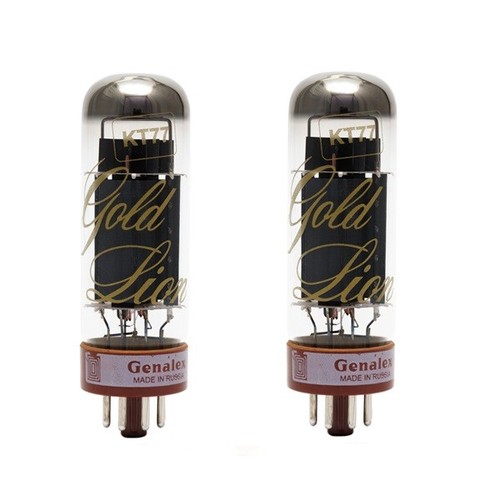 Gold lion kt77 valvole - gold,