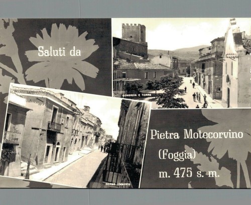 Foggia pietra montecorvino - ,