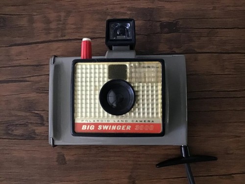 Polaroid big swinger land - polaroid,